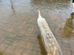 -鄱阳湖国家湿地公园
