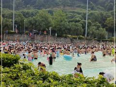 -重庆海昌加勒比海水世界