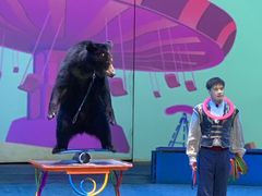 -上海马戏城