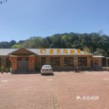 炖出满满的家的味道