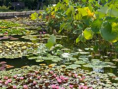 -国家植物园南园