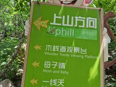 -大岭沟猕猴桃谷风景区