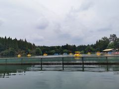 -东平国家森林公园