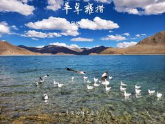 -羊卓雍措
