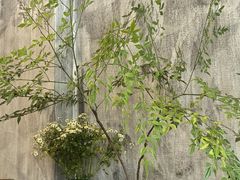 -HAPPEN(江川东路店)