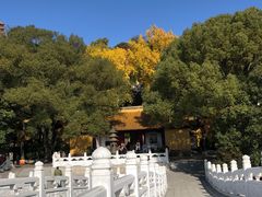 -狼山风景名胜区