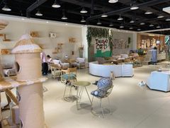 大堂-藏猫猫咖啡主题馆(中央大道店)