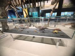 -国家自然博物馆