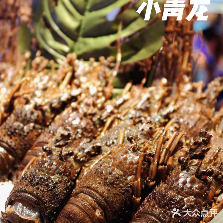 魔都热门榜自助top1｜亚马逊环球海鲜自助