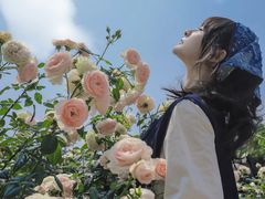 -人民公园(罗湖区)