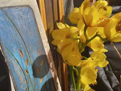 -蓝壁虎咖啡酒馆