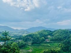 -紫鹊界梯田景区
