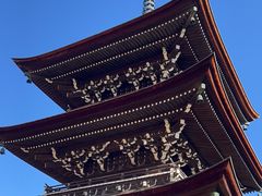 -医王山·飞騨国分寺