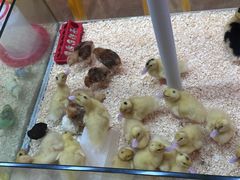 -上海世纪汇广场