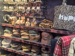 -酷乐潮玩(五道口购物中心店)