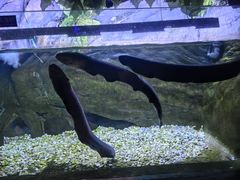 -蓬莱欧乐堡海洋极地世界