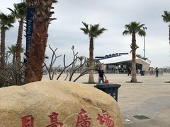 -五谷芳乳鸽王（大梅沙总店C区）(网红打卡店)