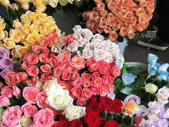 -循礼门鲜花花市(武汉循礼门店)