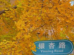 -辽宁大学(崇山校区)