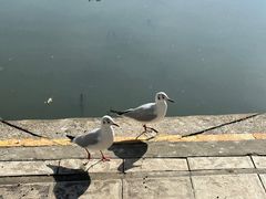 -滇池海埂公园