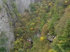 -秦岭天竺山景区