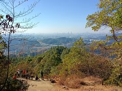 -天鹿湖森林公园