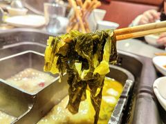 -巴奴毛肚火锅(二七万达店)