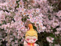 -北京植物园南门售票处