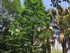 -苏州河梦清园环保主题公园