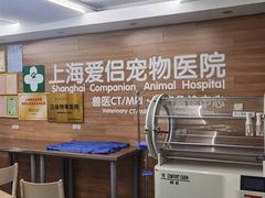 -爱侣宠医·鹦鹉专科·小型哺乳类·异宠专科(灵石路店)