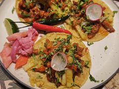 -墨纪Mojí墨西哥餐厅(官舍店)