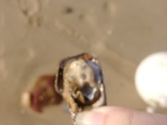 -智住·海景公寓(小径湾店)