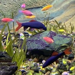 -酷嗒动物文化乐园(cutezoo西溪乐天城店)