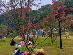 -广州市帽峰山景区