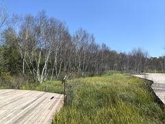 -御道口草原森林风景区