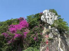 -星湖旅游景区七星岩