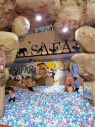 -卡通尼·Safari非洲探索乐园·生日会(金桥国际商业广场店)