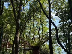 -天目湖山水园