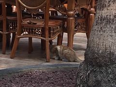 -龙达温泉生态城