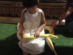 -清迈夜间动物园