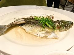 -稻香酒家·35年老字号(侨光店)
