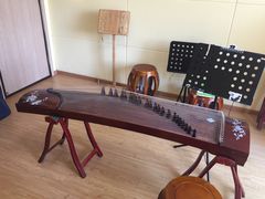 -音歆国艺馆·民乐培训(双榆树店)