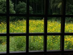 -兰亭风景区