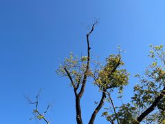 -云溪植物园