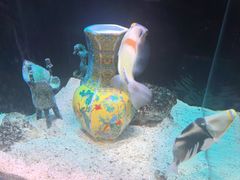 -南昌融创海世界
