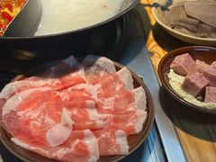 -阳阳老火锅(小南门店)