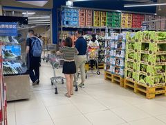 -盒马X会员店(上海森兰商都店)