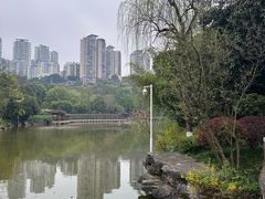 -龙头寺公园