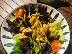 朝鲁沙拉-Cactus墨西哥仙人掌餐厅