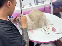 -FAELING PETS美天灵宠物(富力广场店)